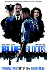 Watch Blue Bloods Megavideo